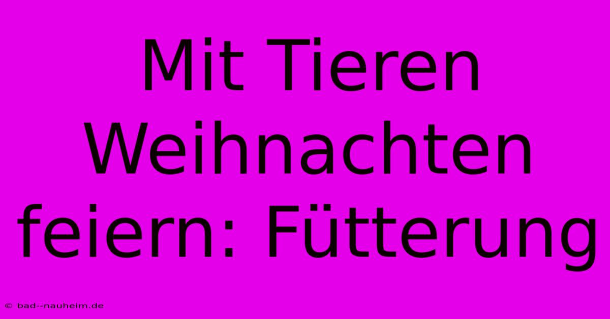 Mit Tieren Weihnachten Feiern: Fütterung