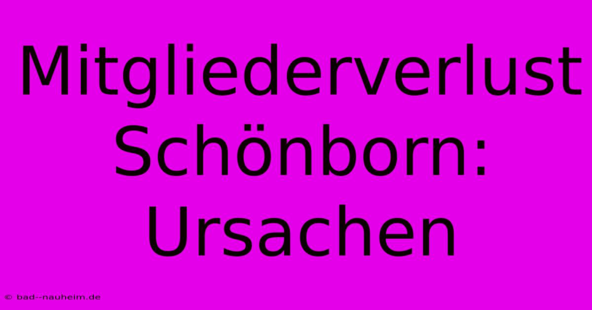 Mitgliederverlust Schönborn: Ursachen