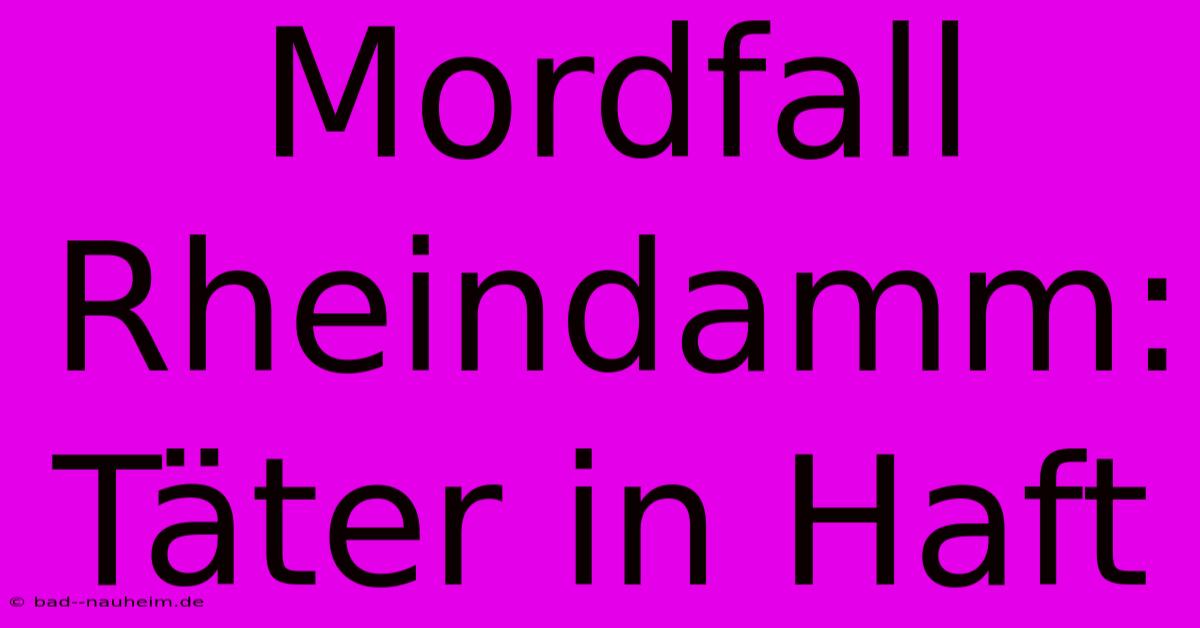 Mordfall Rheindamm: Täter In Haft