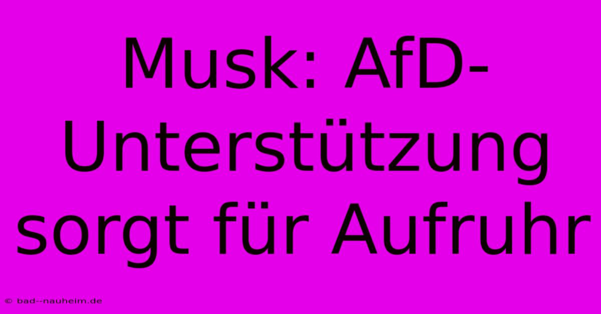 Musk: AfD-Unterstützung Sorgt Für Aufruhr