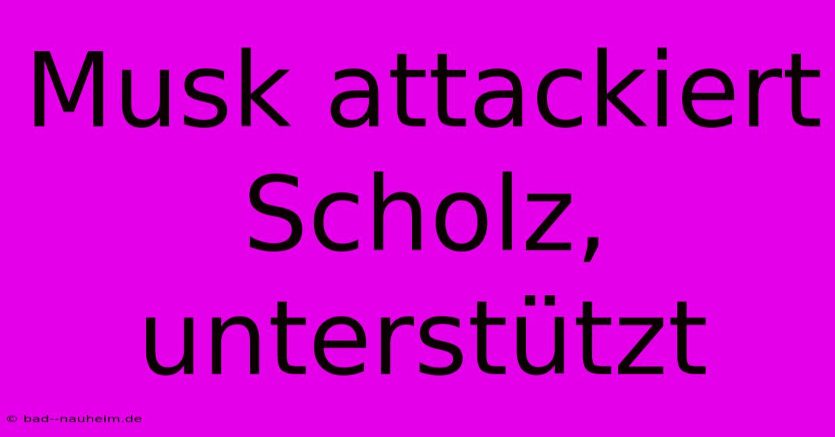 Musk Attackiert Scholz, Unterstützt