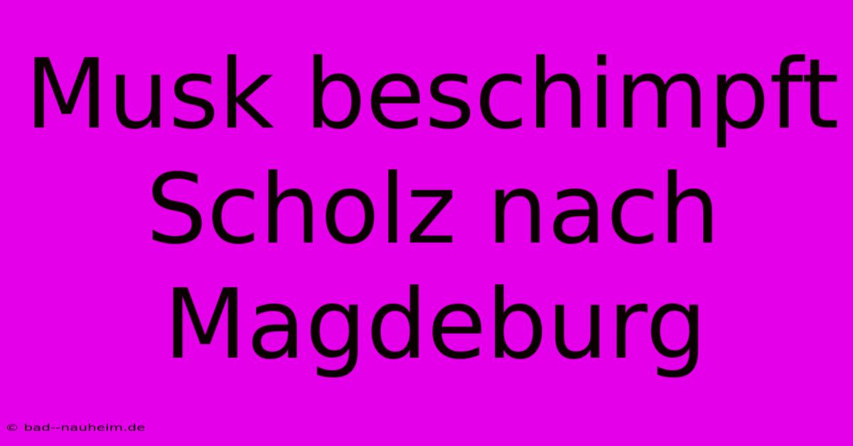 Musk Beschimpft Scholz Nach Magdeburg