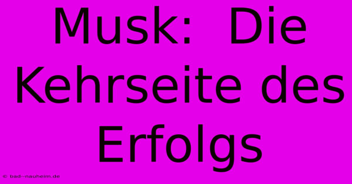 Musk:  Die Kehrseite Des Erfolgs