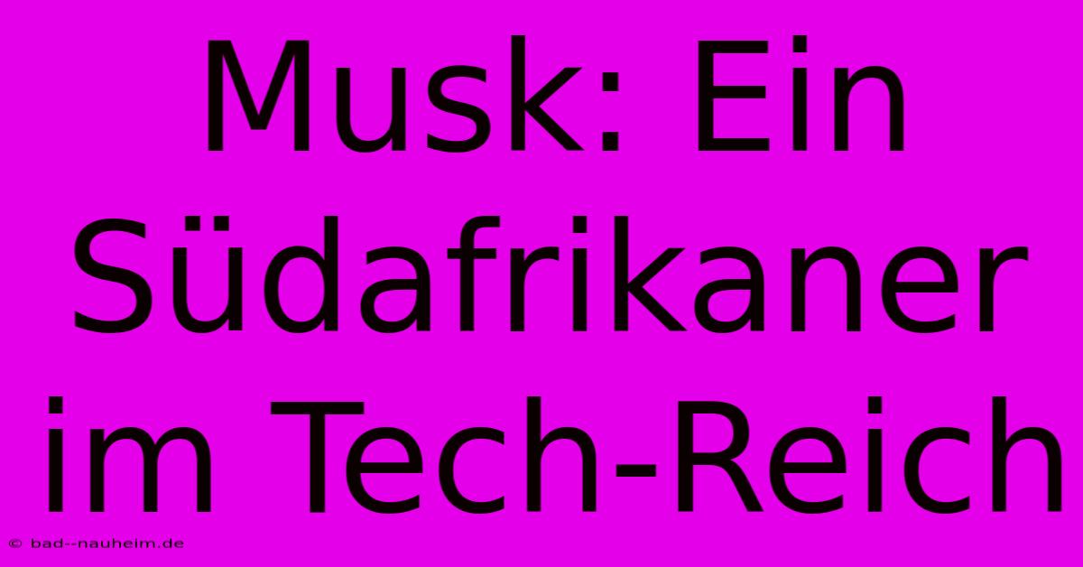 Musk: Ein Südafrikaner Im Tech-Reich