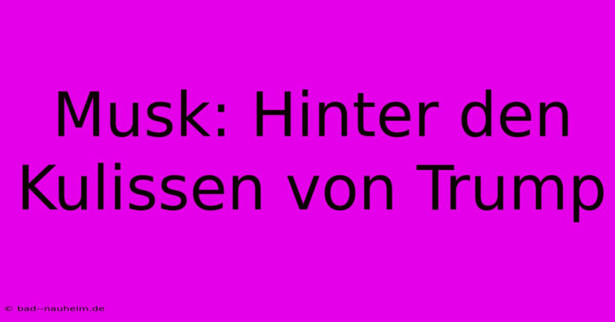 Musk: Hinter Den Kulissen Von Trump