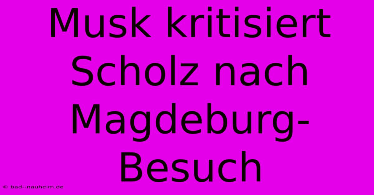 Musk Kritisiert Scholz Nach Magdeburg-Besuch