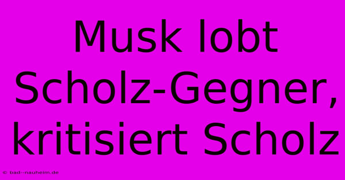 Musk Lobt Scholz-Gegner, Kritisiert Scholz