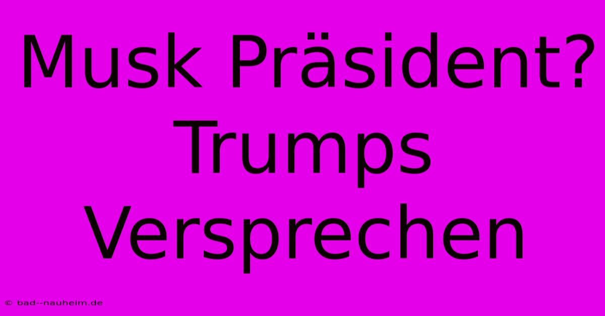 Musk Präsident? Trumps Versprechen