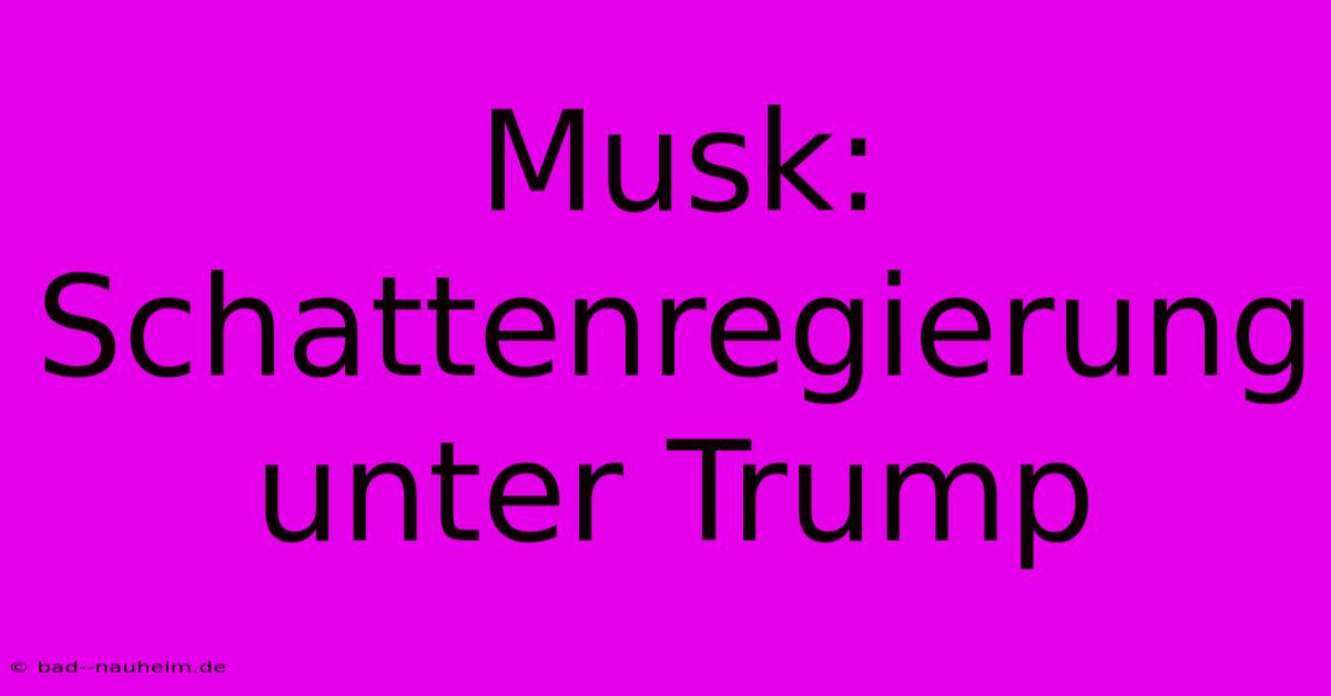 Musk: Schattenregierung Unter Trump