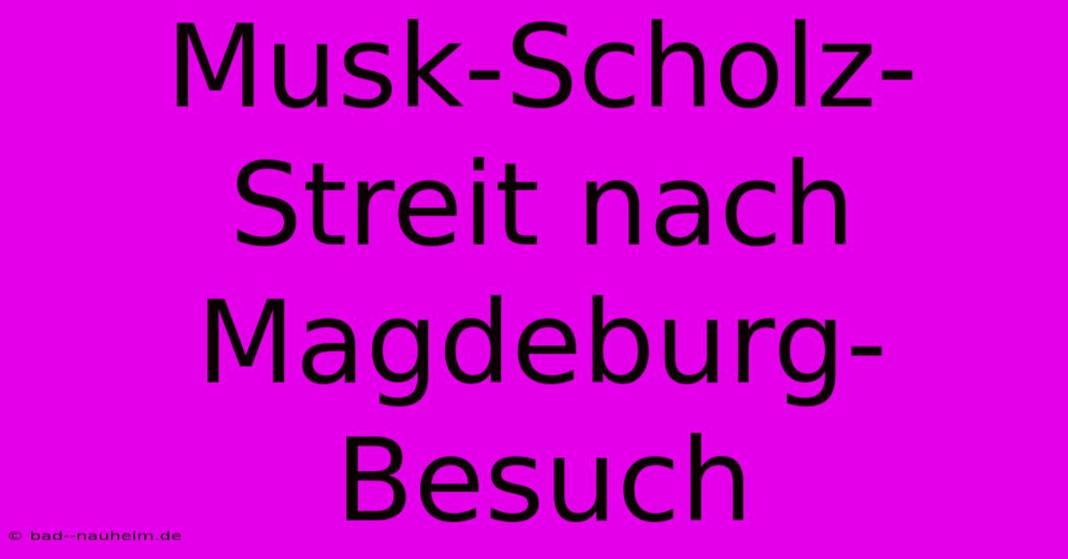 Musk-Scholz-Streit Nach Magdeburg-Besuch