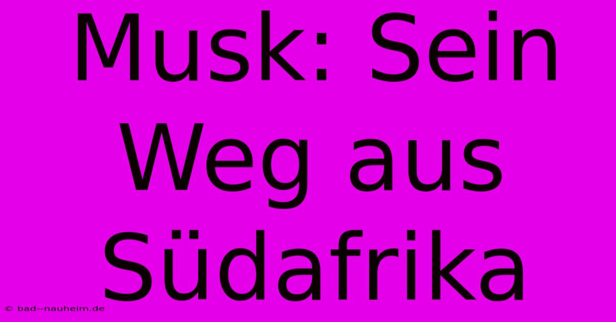 Musk: Sein Weg Aus Südafrika