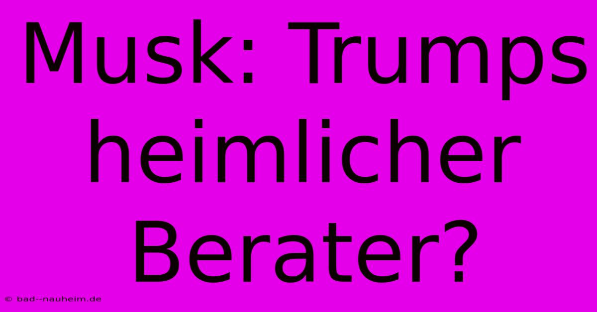 Musk: Trumps Heimlicher Berater?