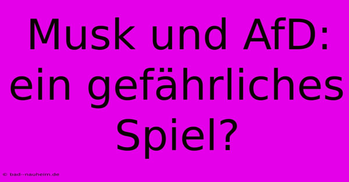 Musk Und AfD:  Ein Gefährliches Spiel?