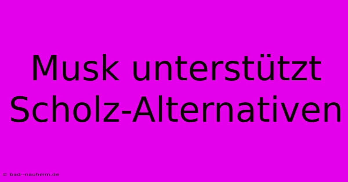 Musk Unterstützt Scholz-Alternativen