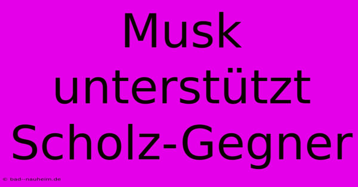 Musk Unterstützt Scholz-Gegner