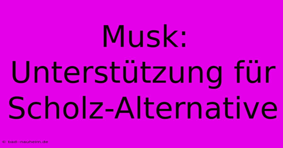 Musk: Unterstützung Für  Scholz-Alternative