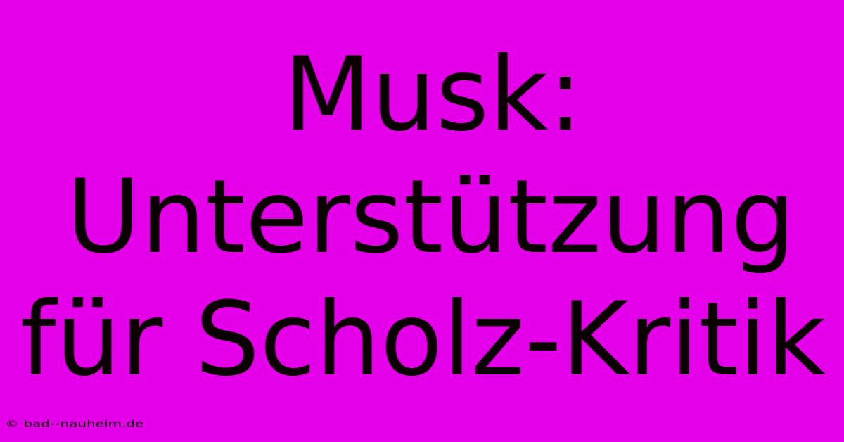 Musk: Unterstützung Für Scholz-Kritik