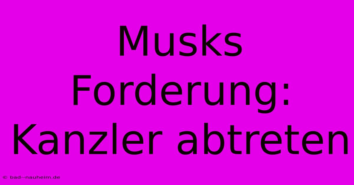 Musks Forderung: Kanzler Abtreten