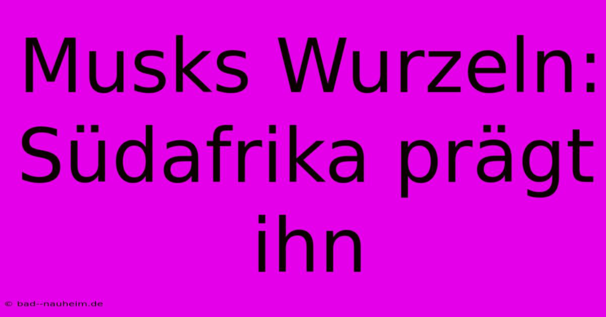 Musks Wurzeln: Südafrika Prägt Ihn