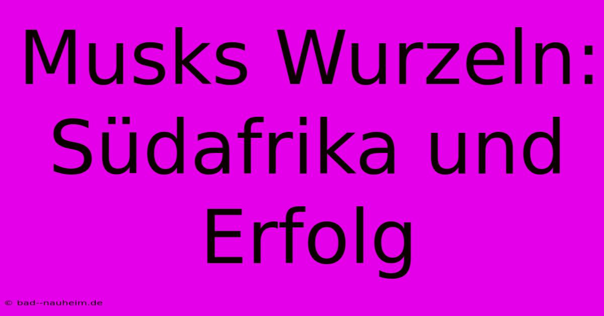 Musks Wurzeln: Südafrika Und Erfolg