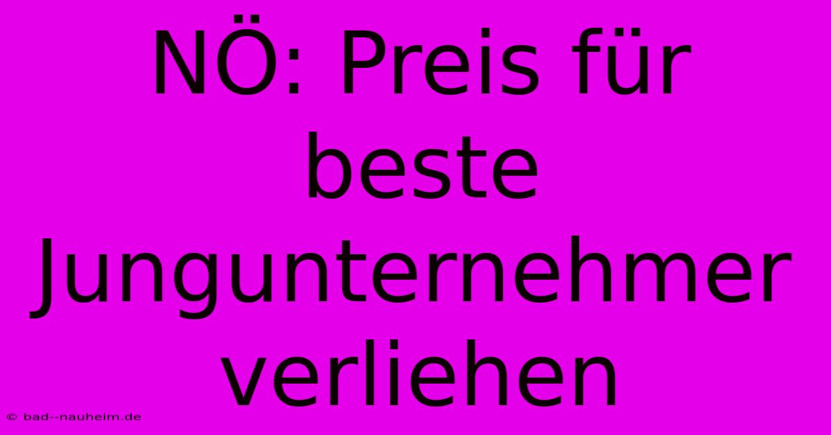 NÖ: Preis Für Beste Jungunternehmer Verliehen