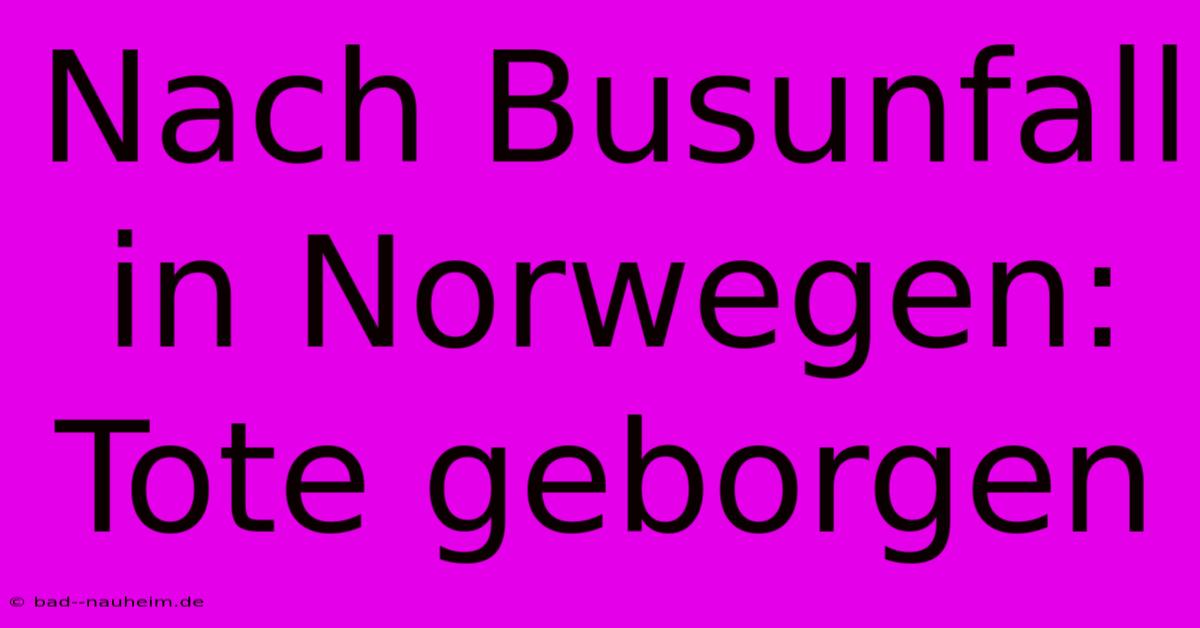 Nach Busunfall In Norwegen: Tote Geborgen