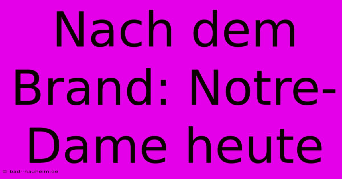 Nach Dem Brand: Notre-Dame Heute