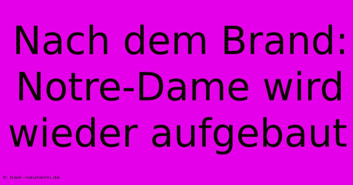 Nach Dem Brand: Notre-Dame Wird Wieder Aufgebaut