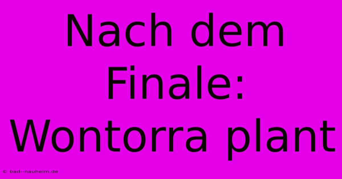 Nach Dem Finale: Wontorra Plant