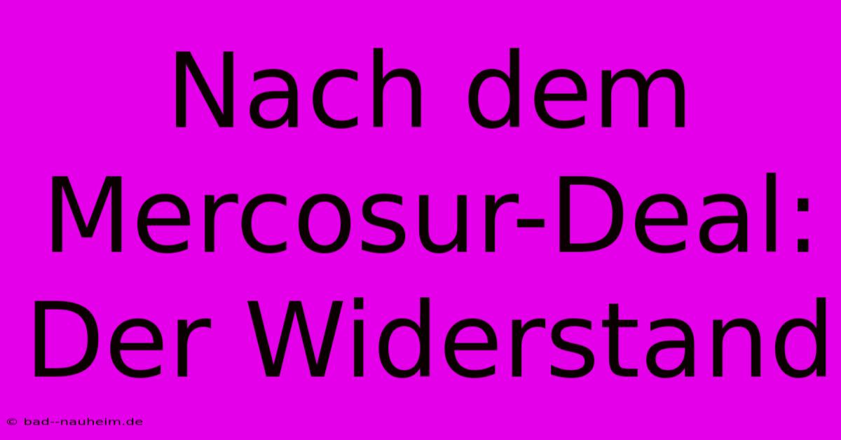 Nach Dem Mercosur-Deal: Der Widerstand