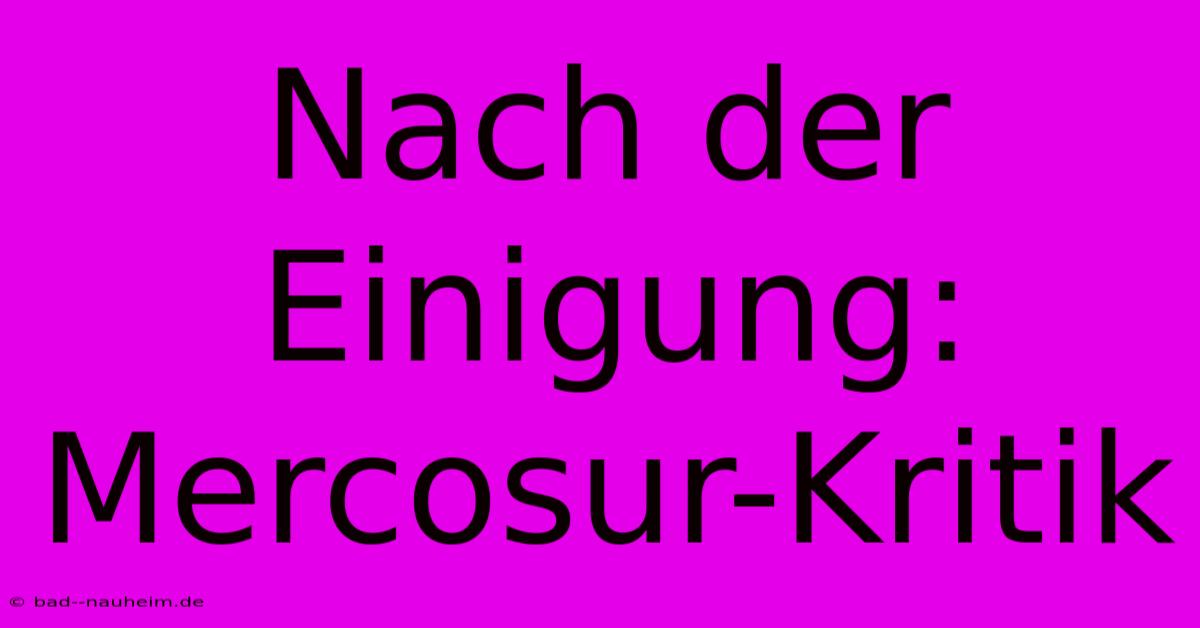 Nach Der Einigung: Mercosur-Kritik