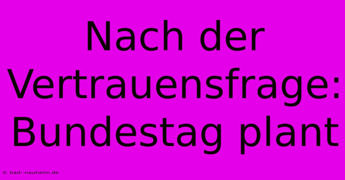 Nach Der Vertrauensfrage: Bundestag Plant