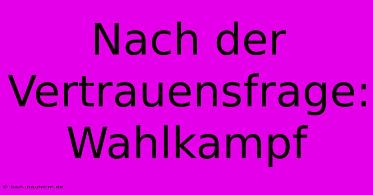 Nach Der Vertrauensfrage: Wahlkampf