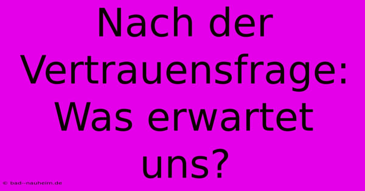 Nach Der Vertrauensfrage: Was Erwartet Uns?