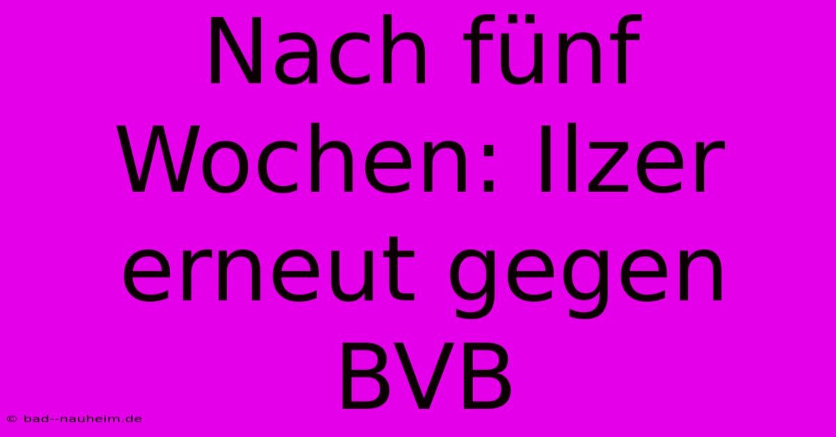 Nach Fünf Wochen: Ilzer Erneut Gegen BVB