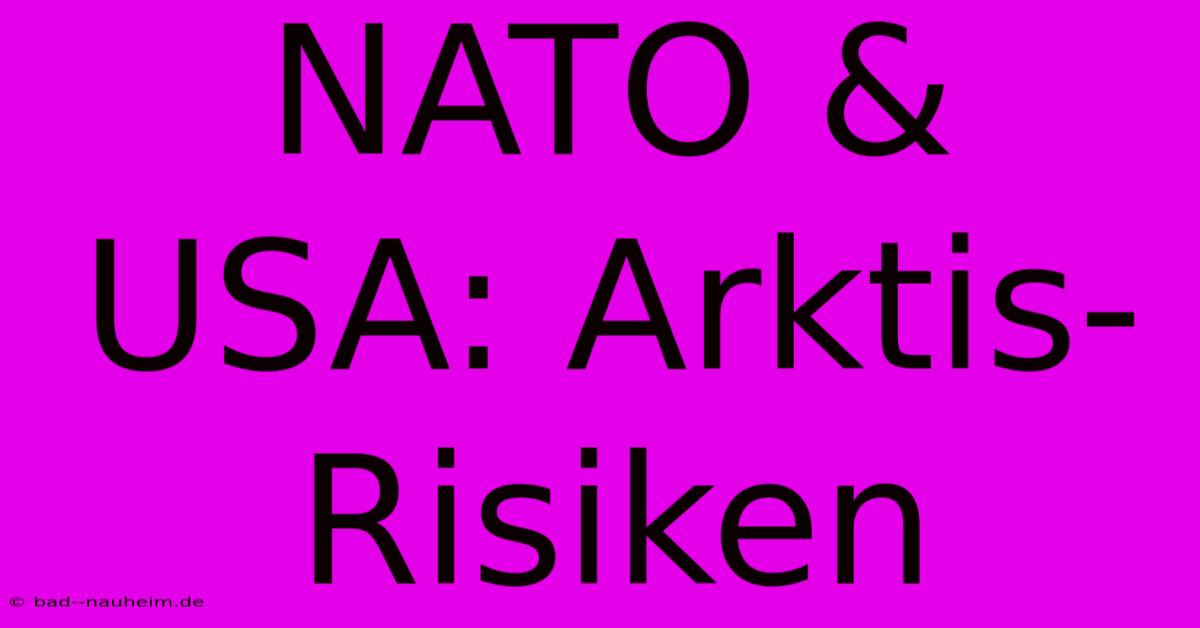 NATO & USA: Arktis-Risiken