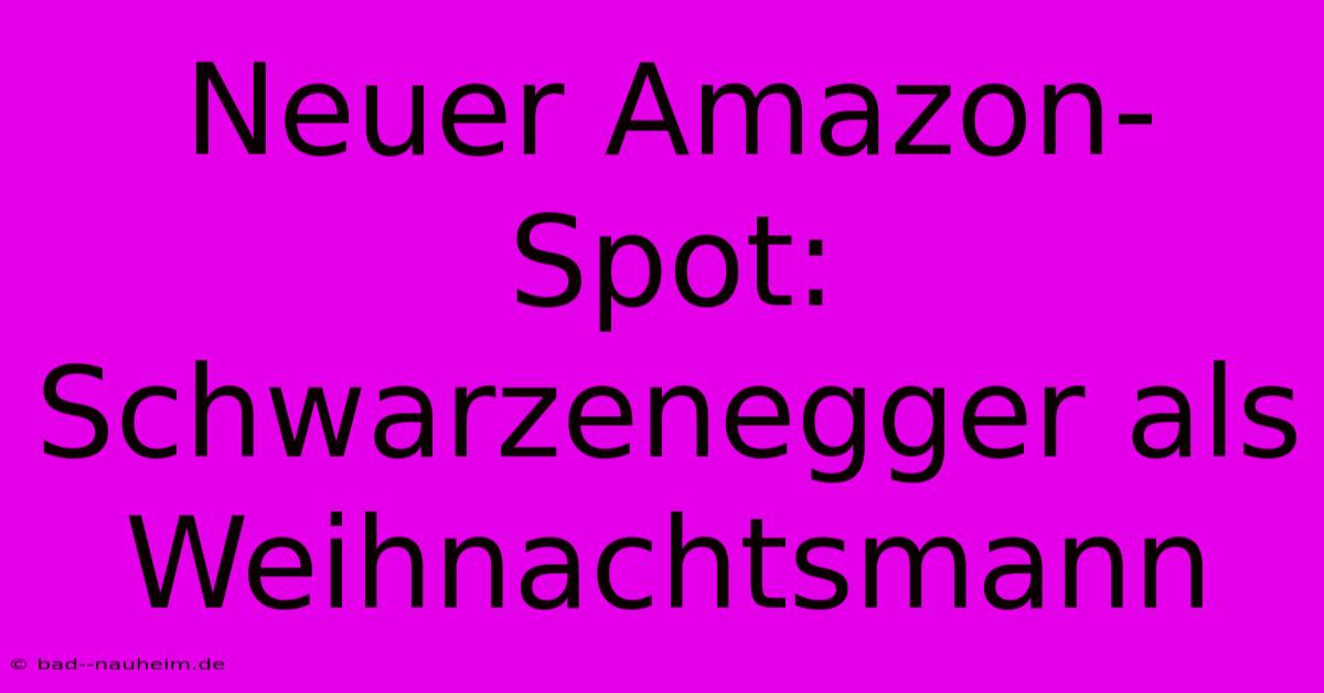 Neuer Amazon-Spot: Schwarzenegger Als Weihnachtsmann