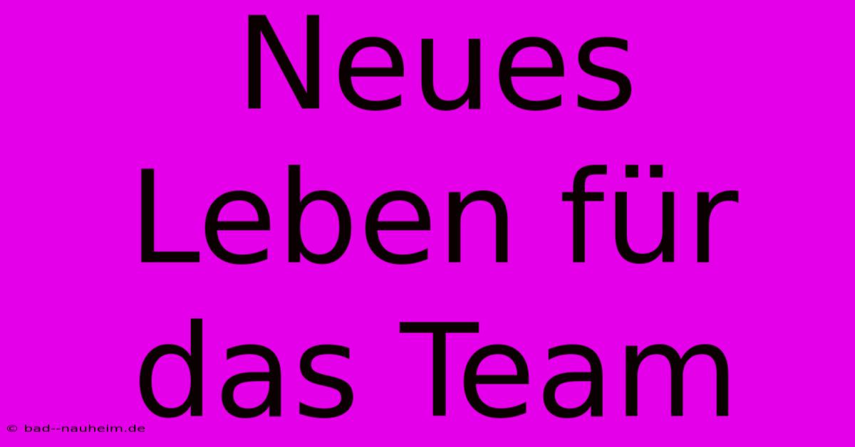 Neues Leben Für Das Team