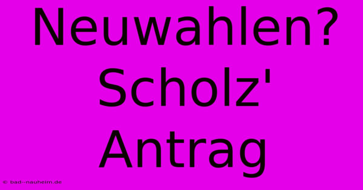 Neuwahlen? Scholz' Antrag