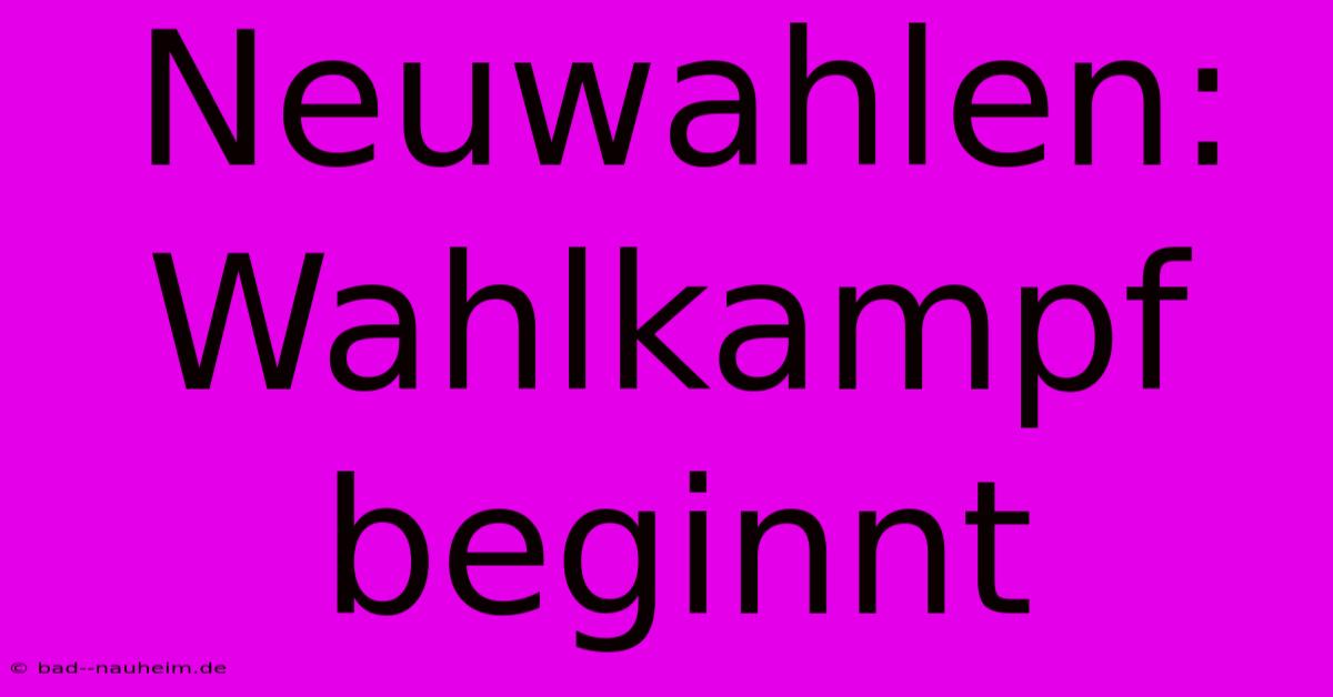 Neuwahlen: Wahlkampf Beginnt