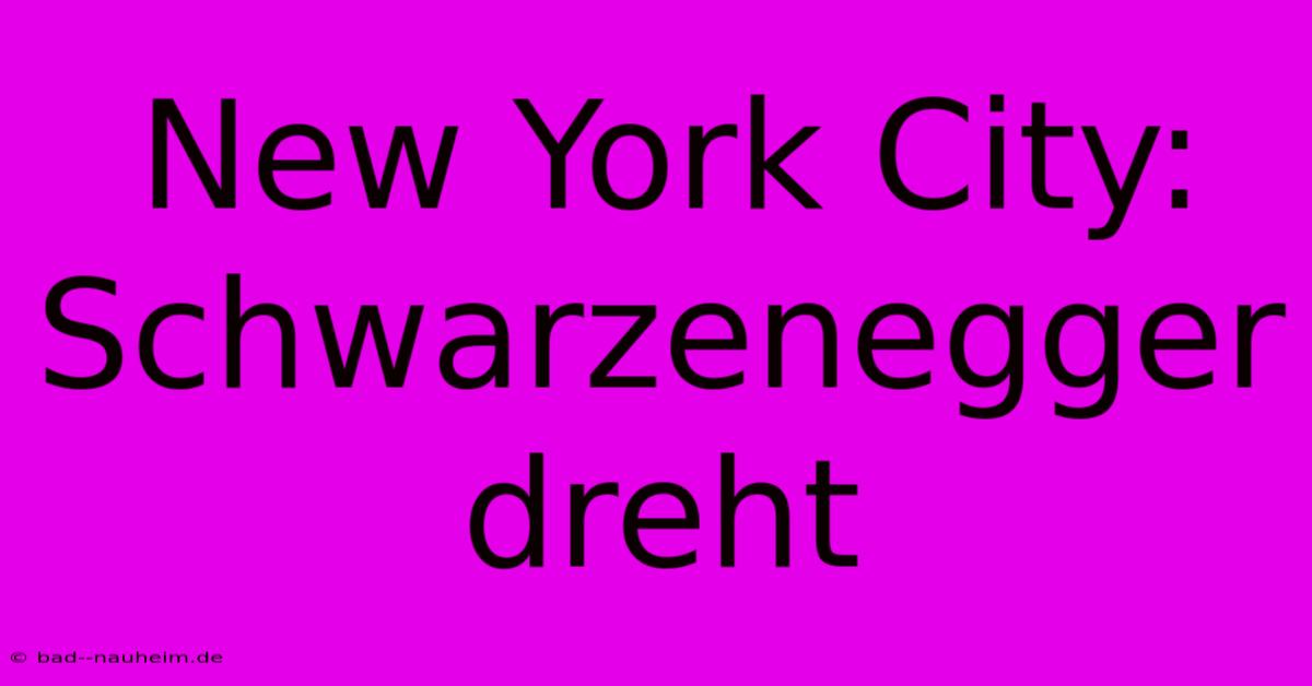 New York City: Schwarzenegger Dreht