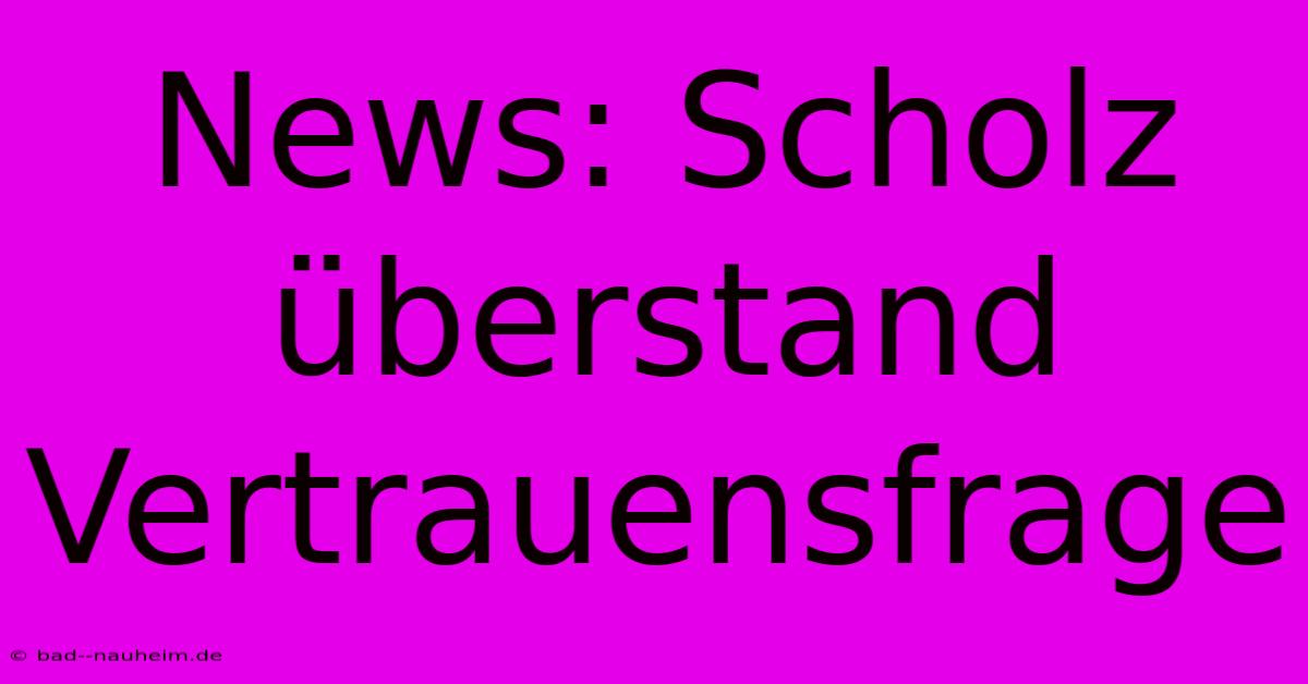 News: Scholz Überstand Vertrauensfrage