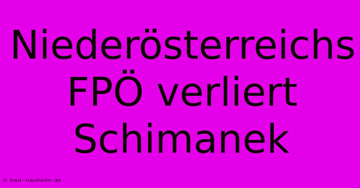 Niederösterreichs FPÖ Verliert Schimanek