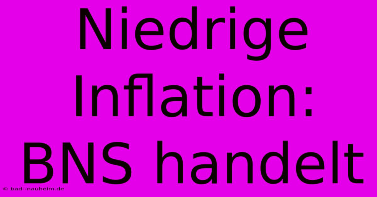 Niedrige Inflation: BNS Handelt