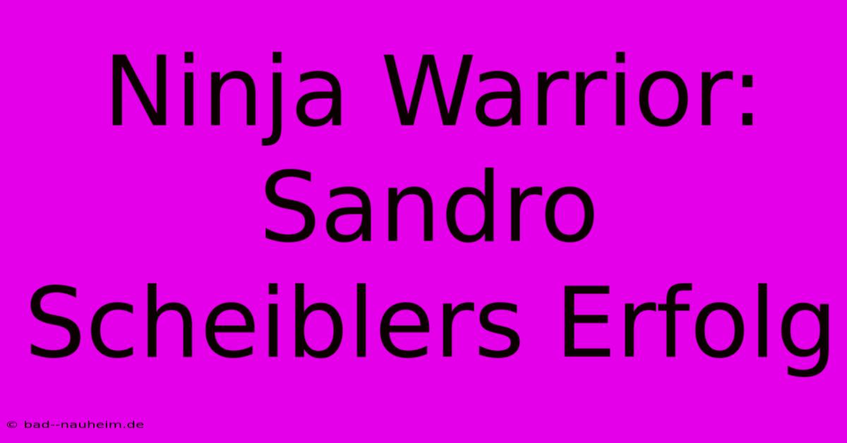 Ninja Warrior: Sandro Scheiblers Erfolg