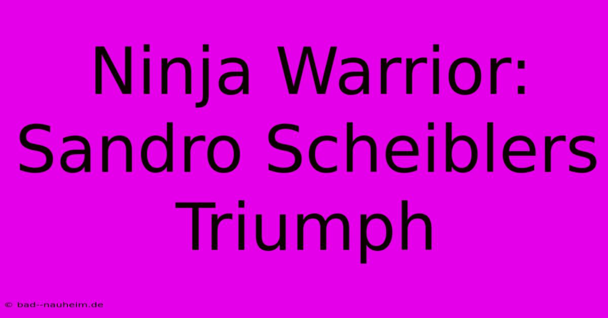 Ninja Warrior: Sandro Scheiblers Triumph