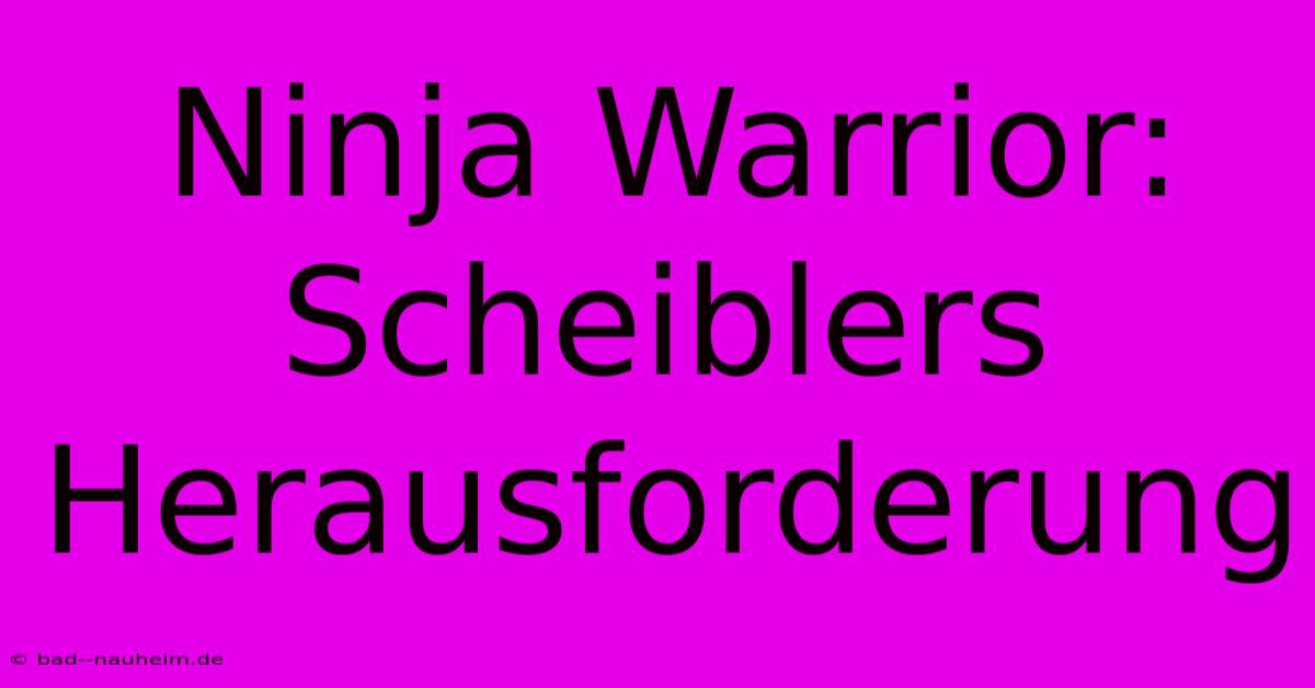 Ninja Warrior: Scheiblers Herausforderung