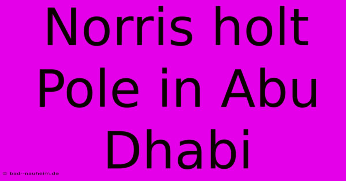 Norris Holt Pole In Abu Dhabi