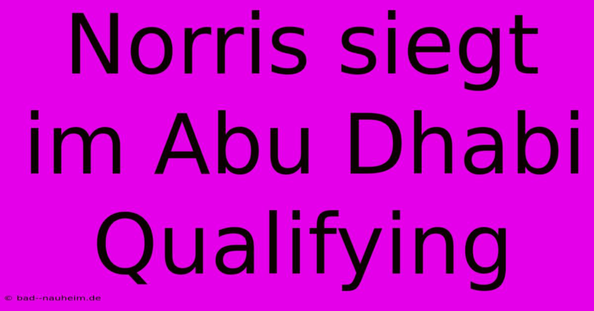 Norris Siegt Im Abu Dhabi Qualifying