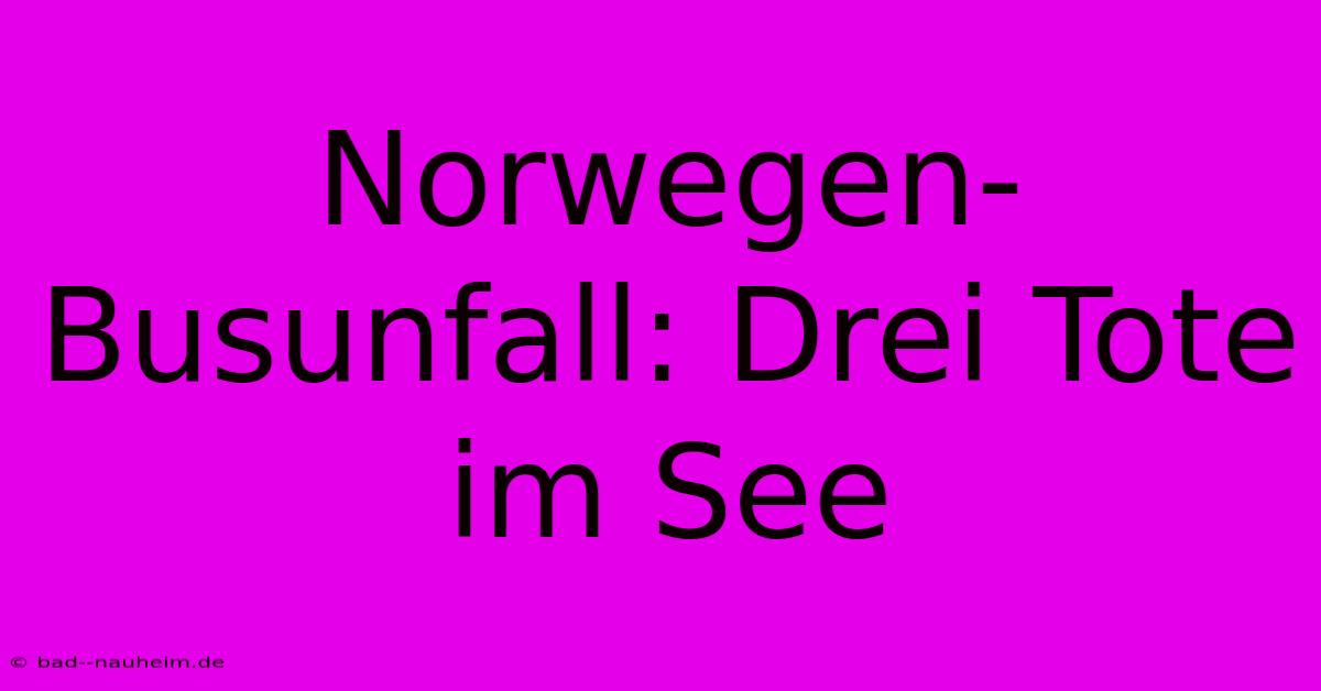 Norwegen-Busunfall: Drei Tote Im See